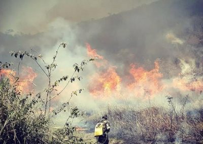 Nova Iguaçu vai lançar campanha educativa para reduzir número de queimadas na mata