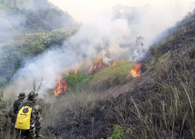 Prefeitura de Nova Iguaçu lança Disque Queimada para população denunciar incêndios florestais