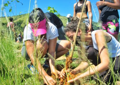Projeto de reflorestamento vai plantar 300 mil mudas em Nova Iguaçu