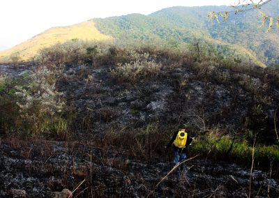 Protetores das florestas pedem ajuda à população no combate aos incêndios florestais em Nova Iguaçu