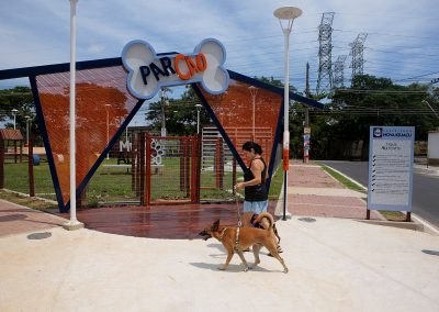 ‘ParCão’ é aberto em Nova Iguaçu para diversão de animais de estimação