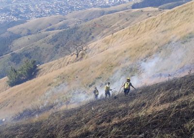 Incêndios florestais caem pela metade em Nova Iguaçu
