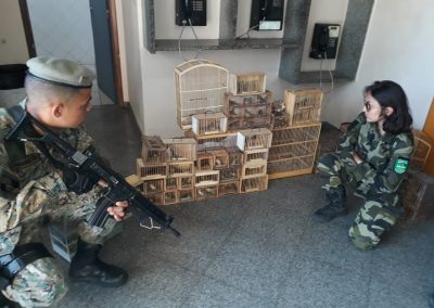 Guarda Ambiental resgata pássaros vendidos ilegalmente