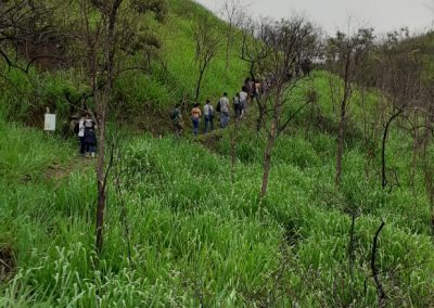 Parque do Vulcão recebe ação de reflorestamento