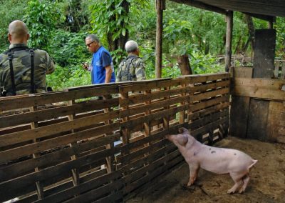 Prefeitura de Nova Iguaçu resgata animal vítima de maus-tratos e demole chiqueiro irregular às margens do Rio Tinguá