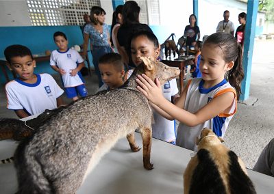 Objetos do Museu Nacional são expostas em escola de Nova Iguaçu