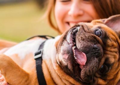 Vacinação antirrábica acontece neste sábado (21) em Nova Iguaçu