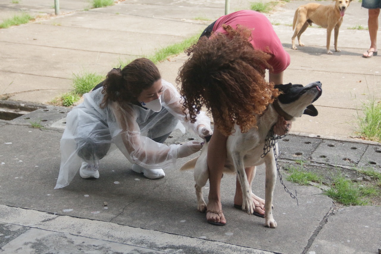 Vacinação Antirrábica continuará até novembro em Nova Iguaçu