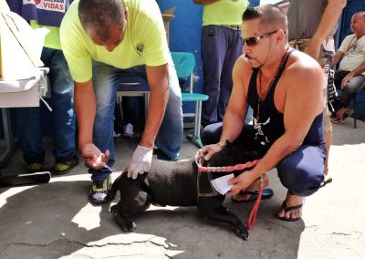 Campanha de vacinação antirrábica imuniza mais de 72 mil animais em Nova Iguaçu