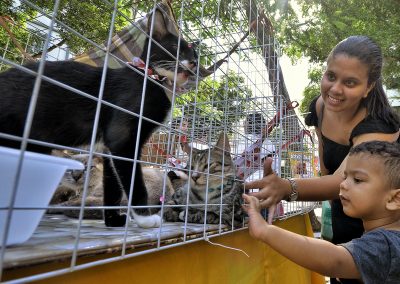 Prefeitura promove feira de adoção de cães e gatos neste sábado (24)