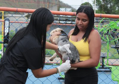 Nova Iguaçu inicia Vacinação Antirrábica Itinerante