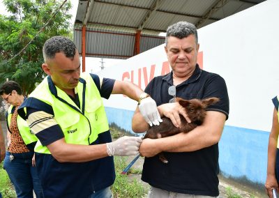 Nova Iguaçu vacina mais de 19 mil cães e gatos contra a raiva neste sábado